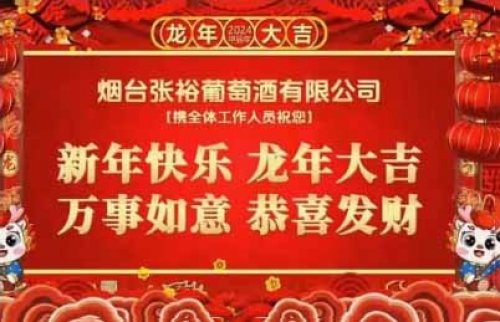 单日收入20000+，年前这个风口项目，企业年会祝福视频定制你也可以做