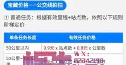 轻松日入200+，靠坐车赚笔零花钱，公交车拍拍项目了解一下