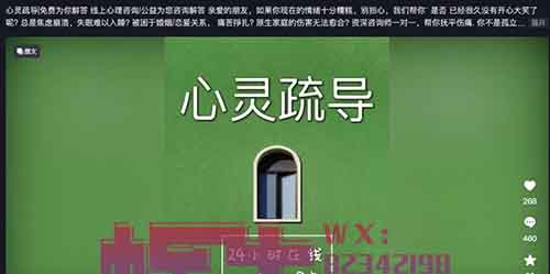 小众疗愈赛道，日入破千：轻松操作，轻松赚钱！