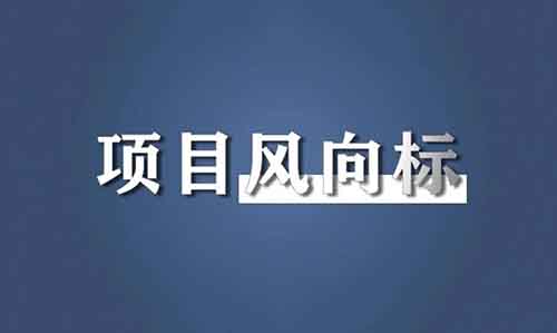 狗狗化妆带货，宠物视角直播，模仿AI数字人直播，项目风向标