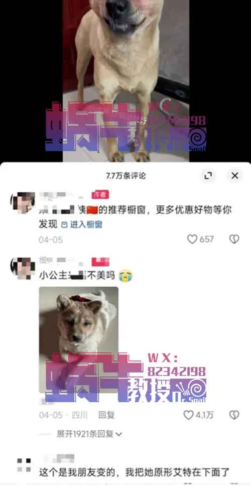 狗狗化妆带货，宠物视角直播，模仿AI数字人直播，项目风向标