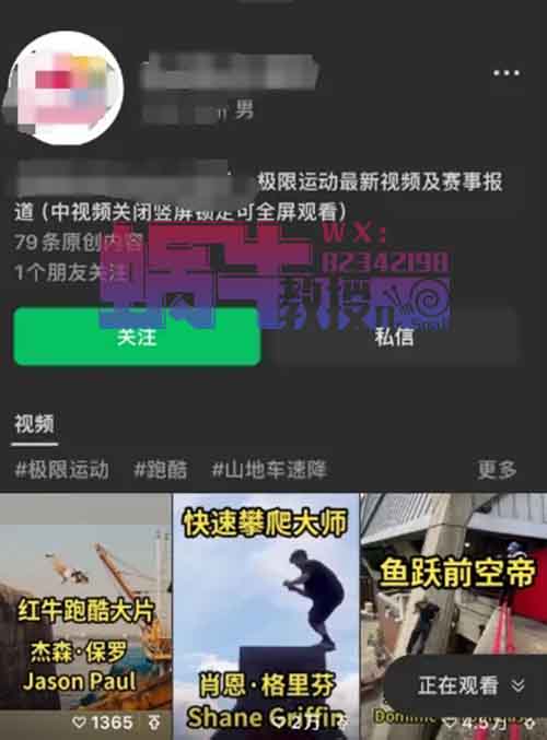 冷门项目竞争小，极限运动，7天见收益！