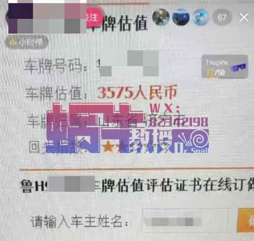 估值直播间项目玩法，无需出境，单日300+