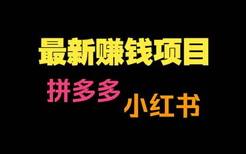 拼多多十元成本，小红书年入百万