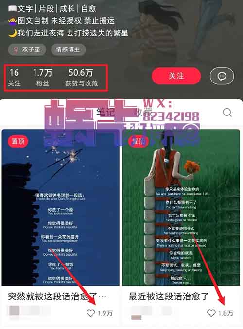 小红书字幕作品玩法，结合商单广告+私域变现月入10000+