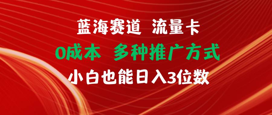 蓝海赛道 流量卡 0成本 小白也能日入三位数