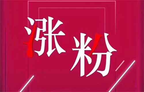 80个作品涨粉 10 万+