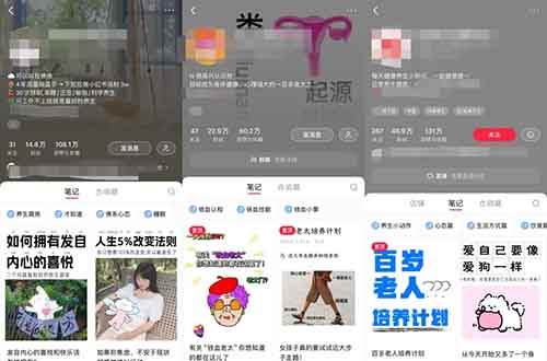 女生独立计划，47 条图文笔记涨粉 46 万+