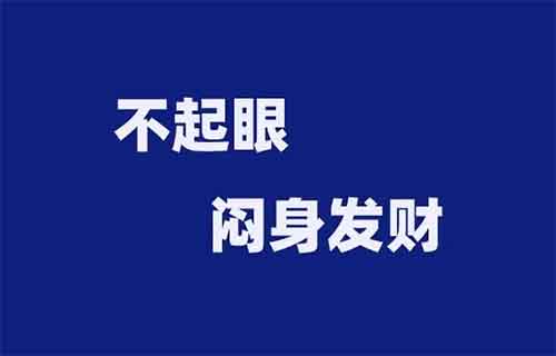 多数人瞧不上，但闷声赚钱的小项目