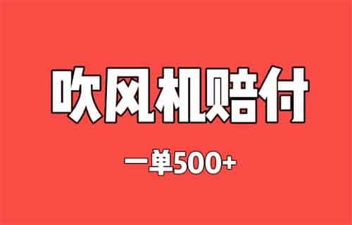 赔付项目揭秘：一单500元，吹风机里有问题，项目拆解