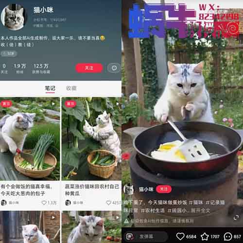 借助AI快速起号，猫咪做饭火了