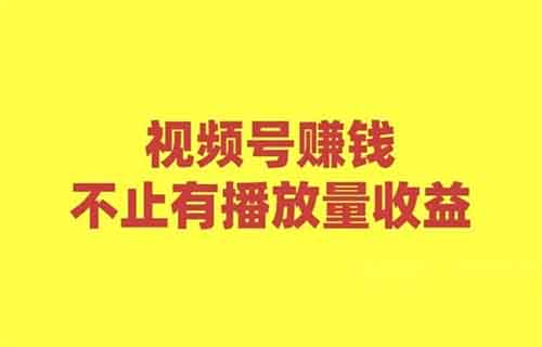 揭秘视频号数据：搬运视频号如何赚取收益，真相大曝光！